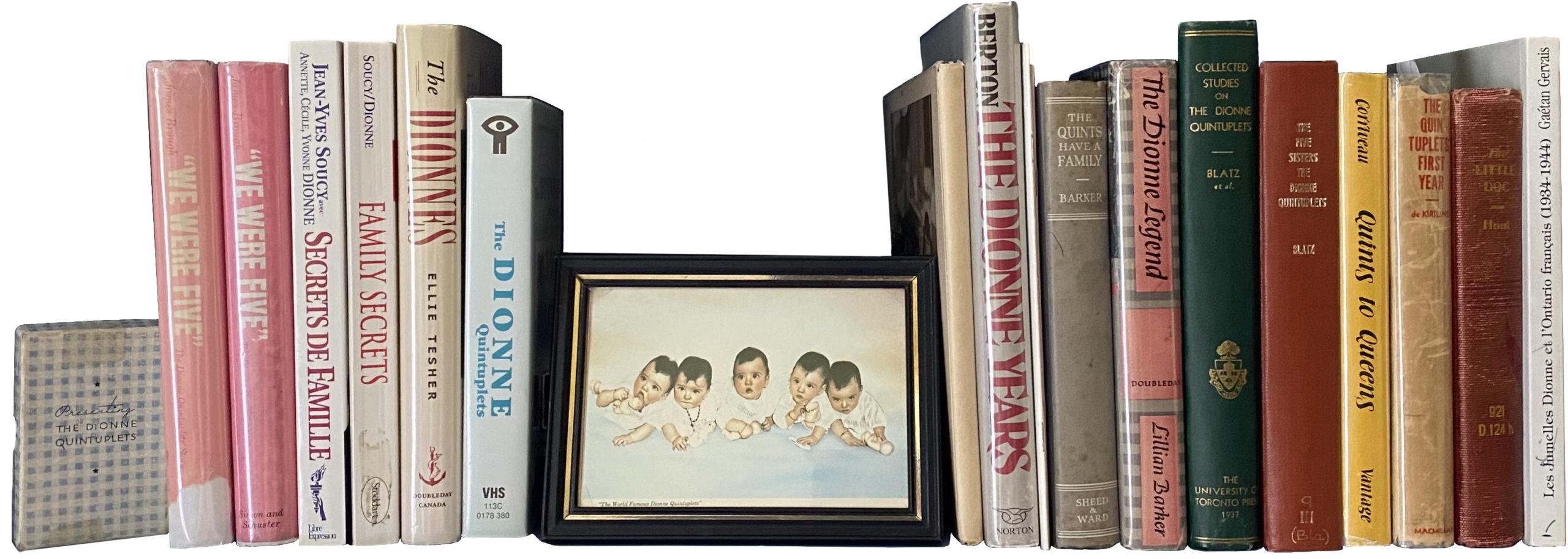 Dionne bookshelf divider