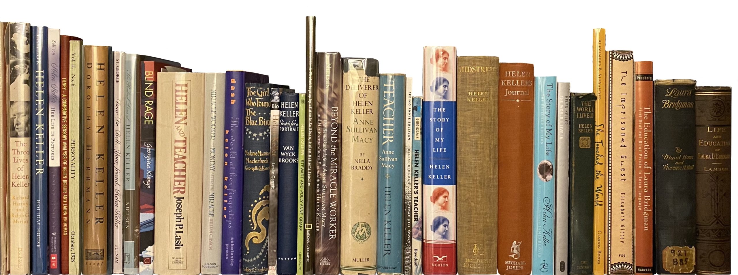 Spitfire bookshelf divider